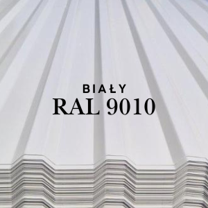 RAL 9010 BIAŁY