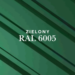 RALL 6005 ZIELONY