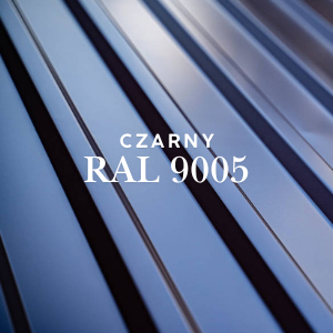 RAL 9005 CZARNY